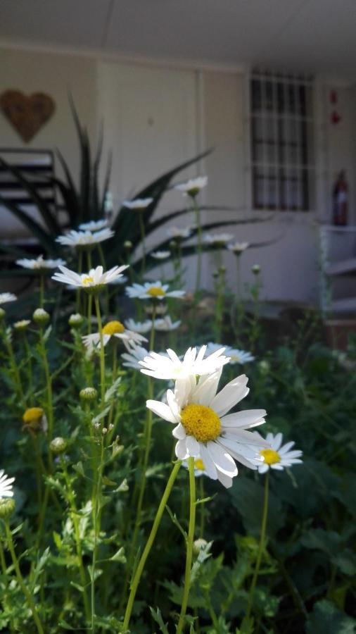 Country Lane Guesthouse Howick Exteriör bild